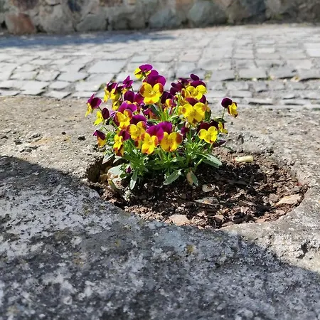 Apartamento Pod Hviezdami *